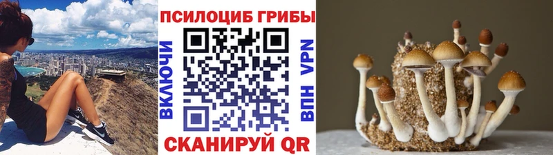 Псилоцибиновые грибы ЛСД  продажа наркотиков  omg зеркало  Оленегорск 