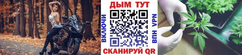 Каннабис Amnesia закладки Оленегорск